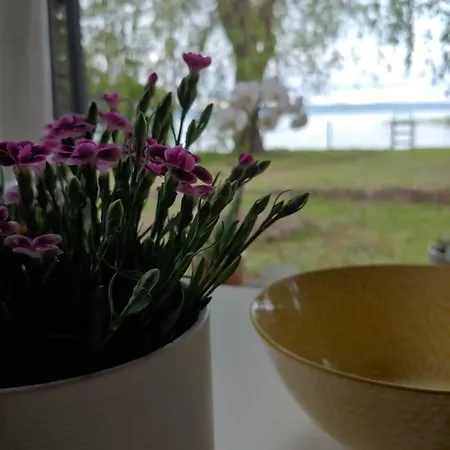 Nadas Kucko - Vizparti Piheno Apartment Zamardi